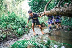 BIB: 
                            <button type="button" onclick="openModal(25478272)" class="btn btn-primary btn-sm float-right btn-popup" data-toggle="modal" data-target=".modal-high-quality">
                        <i class="fas fa-shopping-cart"></i> Add to Cart
                    </button>
                                            <button type="button" onclick="isThisMe(25478272, true)" class="btn btn-success btn-sm float-right btn-popup btn-isme hidden" data-toggle="tooltip" data-placement="bottom" title="นี่คือรูปของคุณใช่ไหม คลิกที่นี่เพื่อเอาเข้าอัลบั้ม">
                        <i class="fas fa-plus"></i> Add to album
                    </button>
                    <button type="button" onclick="isThisMe(25478272, false)" class="btn btn-warning btn-sm float-right btn-popup btn-isnotme hidden">
                        <i class="fas fa-ban"></i> Remove from album
                    </button>